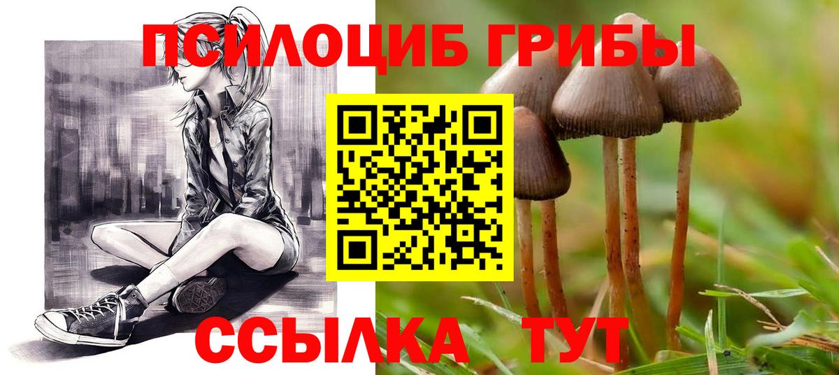 Псилоцибиновые грибы GOLDEN TEACHER  Вход с VPN  Грозный 